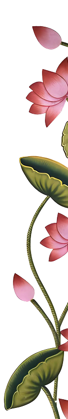 Lotus Design Right